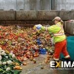 Food lost and wasted: we all have to play a part