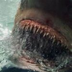 ТОП-5 ожидаемых Новых фильмов 2025 года: премьеры, которые нельзя пропустить