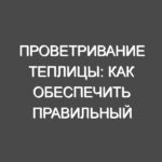 Проветривание теплицы: как обеспечить правильный воздухообмен для богатого урожая