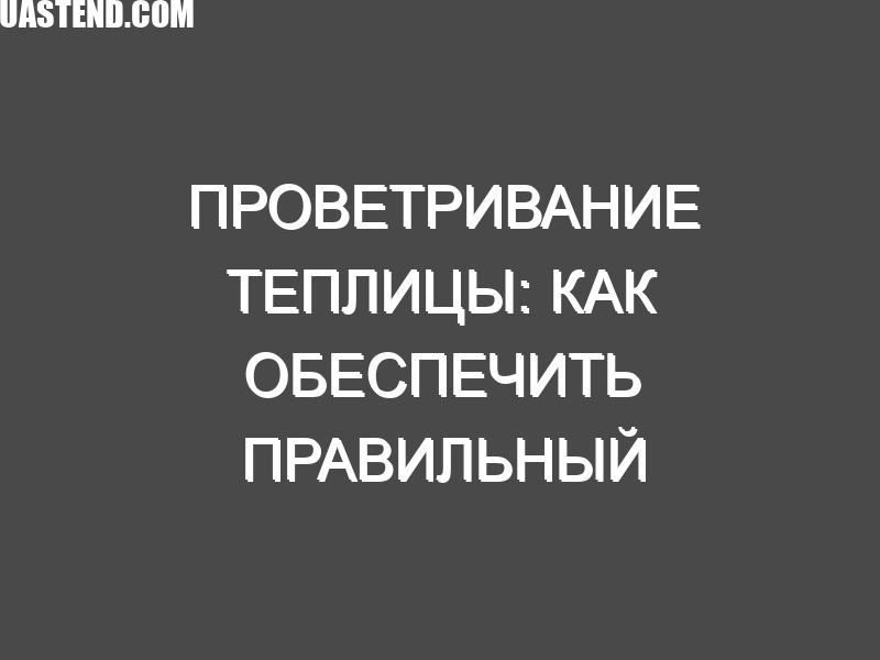 Проветривание теплицы: как обеспечить правильный воздухообмен для богатого урожая